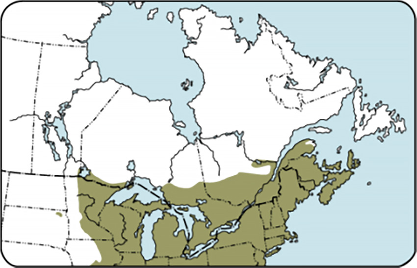 Sugar maple range map north eastern United States and southeast Canada.