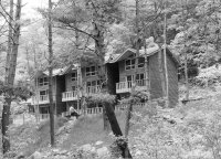 Apartments in a forest.