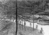 Cabins in a forest.