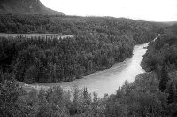 River flowing through a forest.